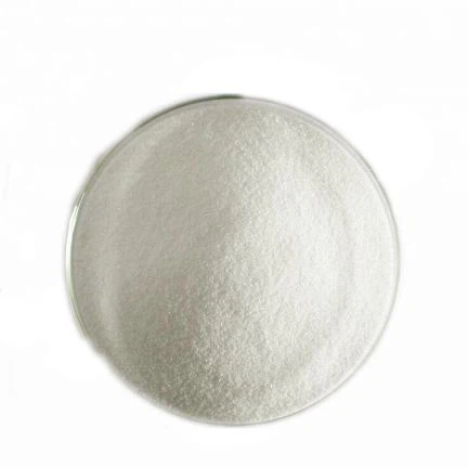 सनीजोइंट एक्सीलेटर एचएमटी 2019।